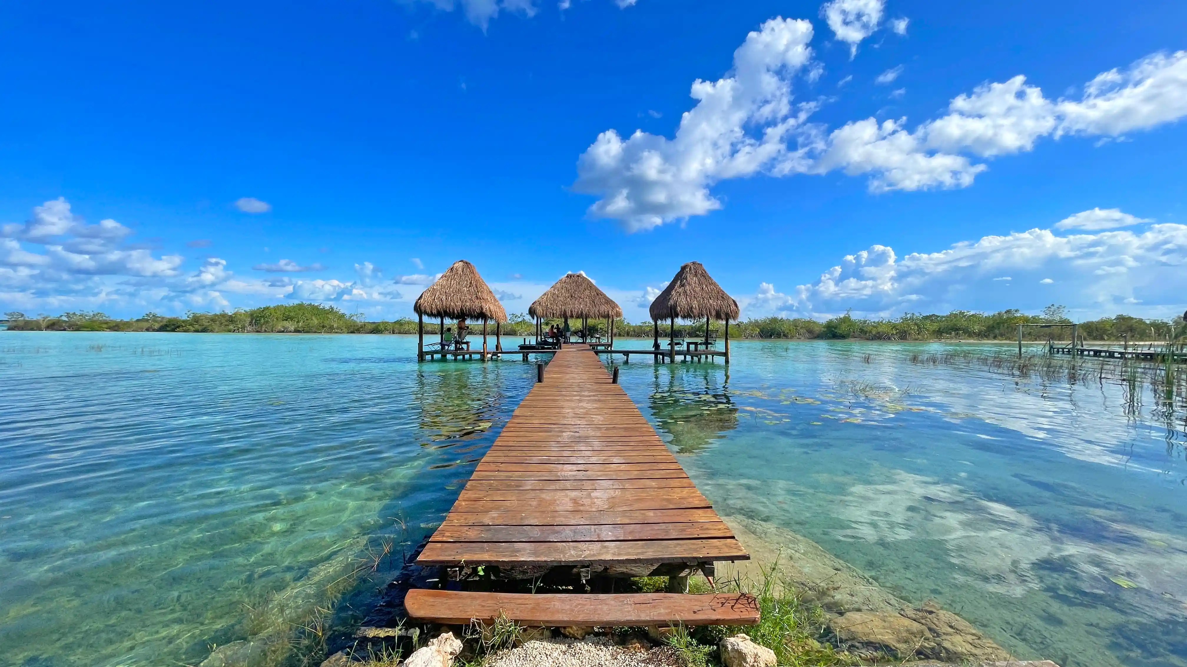 Galería 1
